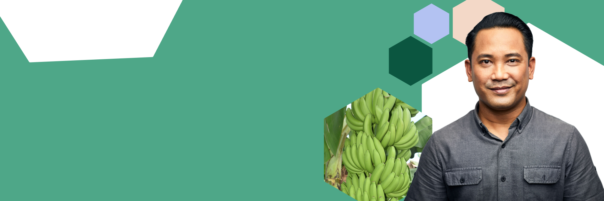 Syngenta | VANIVA® | Cavendish Banana crops protection |
