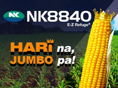 NK8840 - Brand Banner