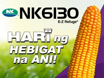 nk6130_ez.jpg