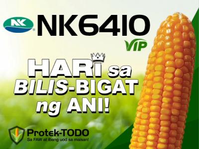 nk6410_vip.jpg
