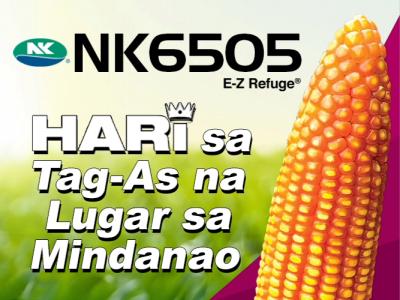 nk6505_ez.jpg