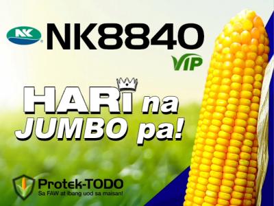 nk8840_vip.jpg