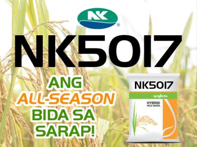 nk5017.jpg