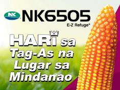 nk6505_ez_thmbnail.jpg