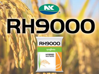 rh9000.jpg
