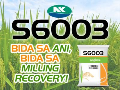 s6003.jpg