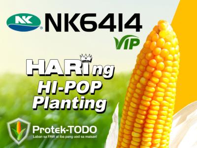 nk6414_vip