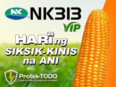 nk313_vip