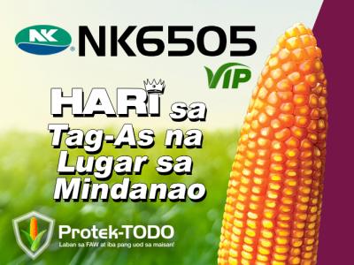 NK6505VIP