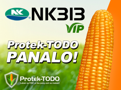 Graphic ad with NK3IB VIP logo and corn; text reads “Protek-TODO PANALO!”