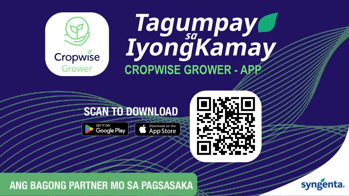 Cropwise QR