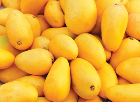 Mango