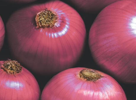 Vegetable