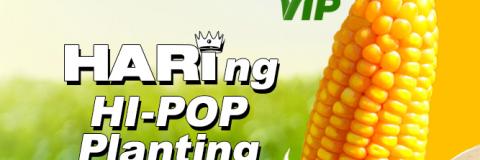 nk6414_vip