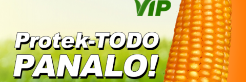 Graphic ad with NK3IB VIP logo and corn; text reads “Protek-TODO PANALO!”
