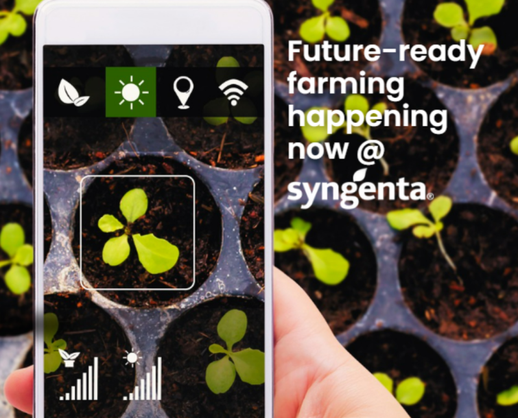 photo of smartphone taking photos of plantlets