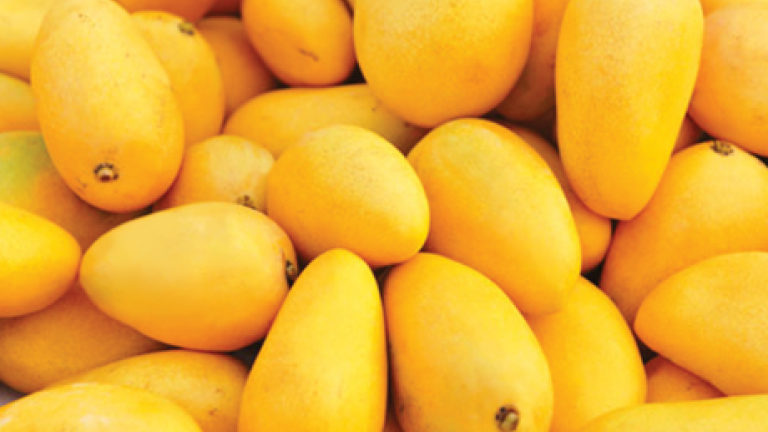 Mango