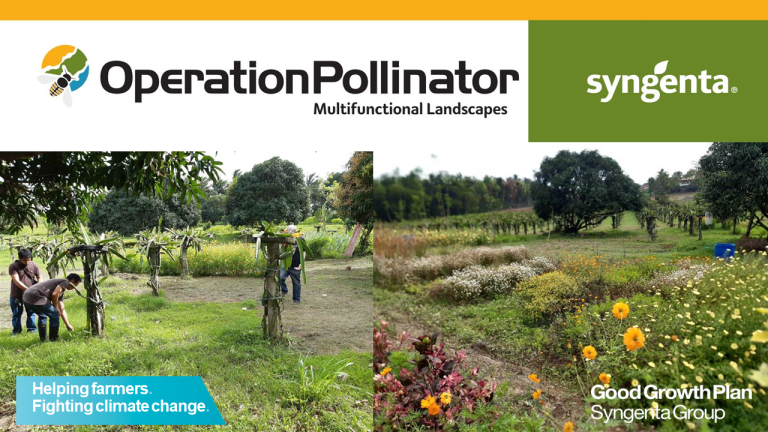 Operation Pollinator