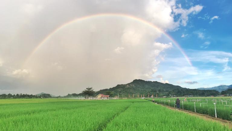 Syngenta Philippines