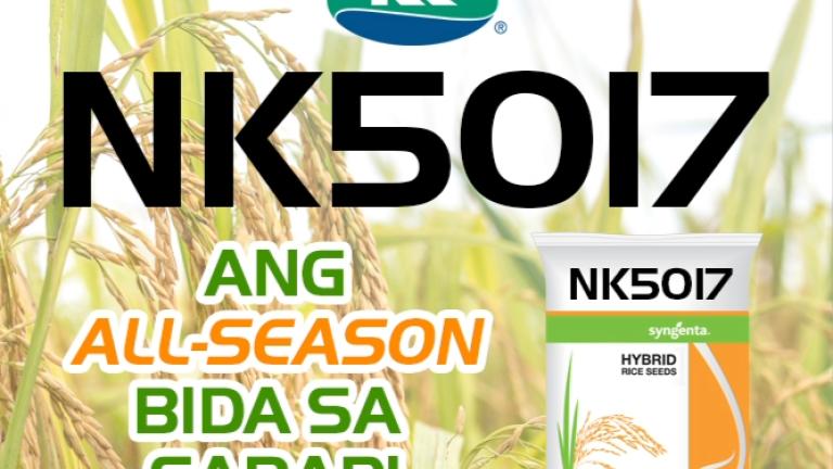 nk5017.jpg