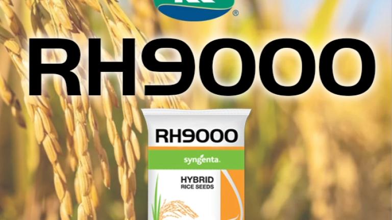 rh9000.jpg