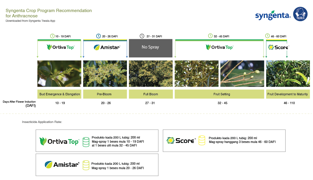 syngenta crop program recommendation