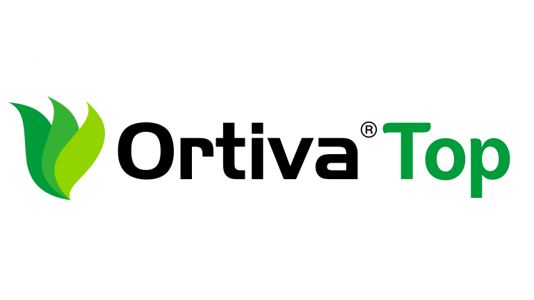 Ortiva Top