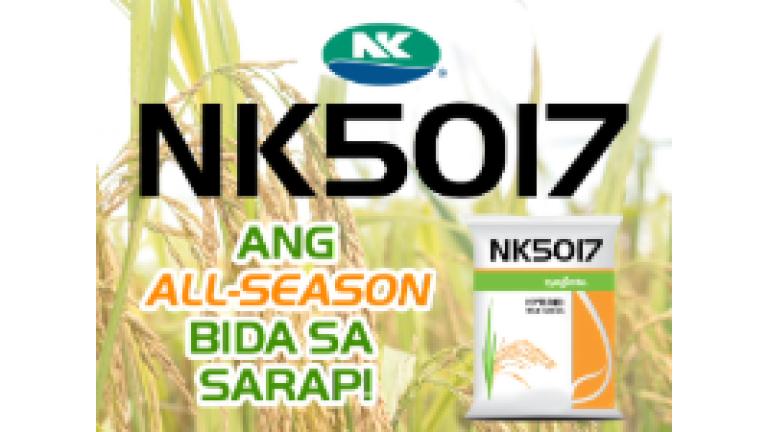 nk5017_thumbnail