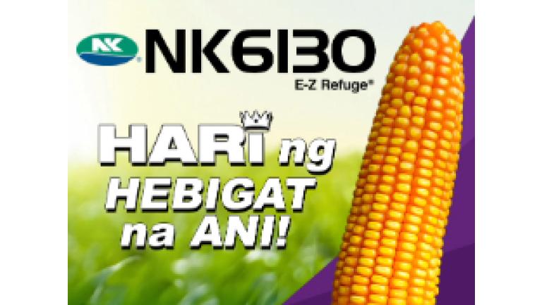 nk6130_thmbnail
