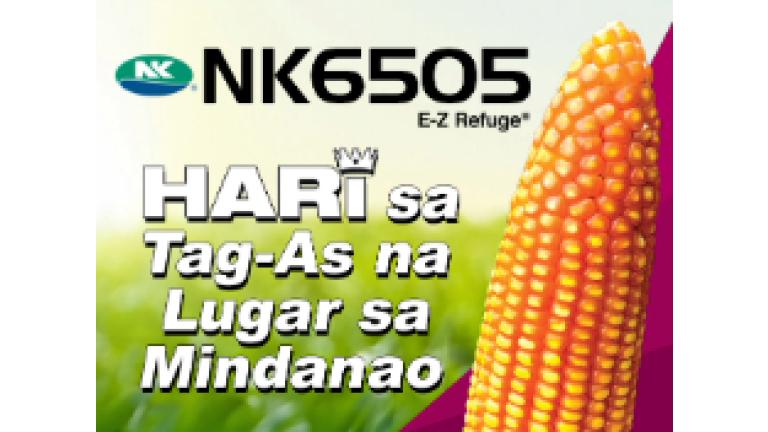 nk6505_ez_thmbnail.jpg