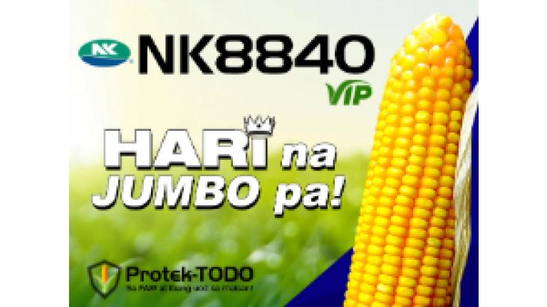 nk8840_vip_thumbnail