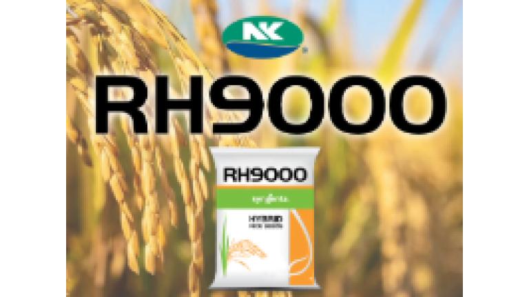 rh9000_thumbnail.jpg