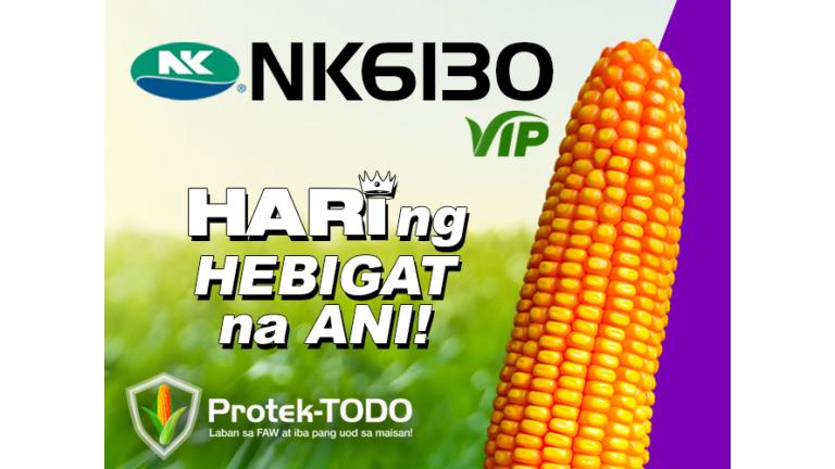 nk6130_vip