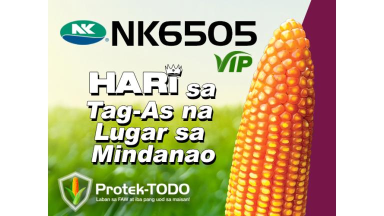 NK6505VIP