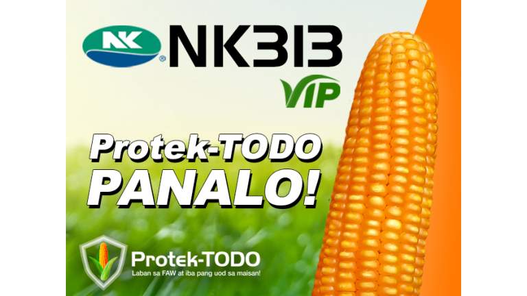 Graphic ad with NK3IB VIP logo and corn; text reads “Protek-TODO PANALO!”